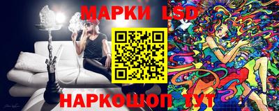 стаф Владимир