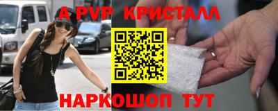 стаф Владимир