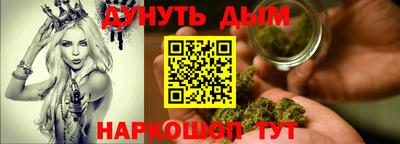 стаф Владимир