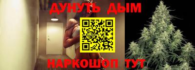 стаф Владимир