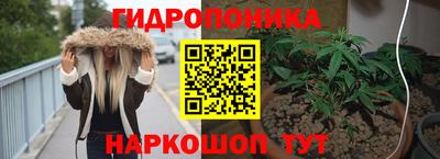 стаф Владимир
