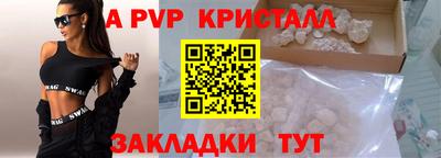 стаф Владимир