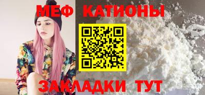 стаф Владимир