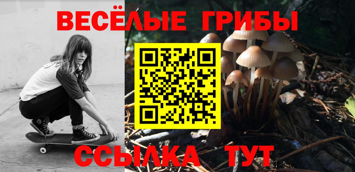 Псилоцибиновые грибы GOLDEN TEACHER Грязи